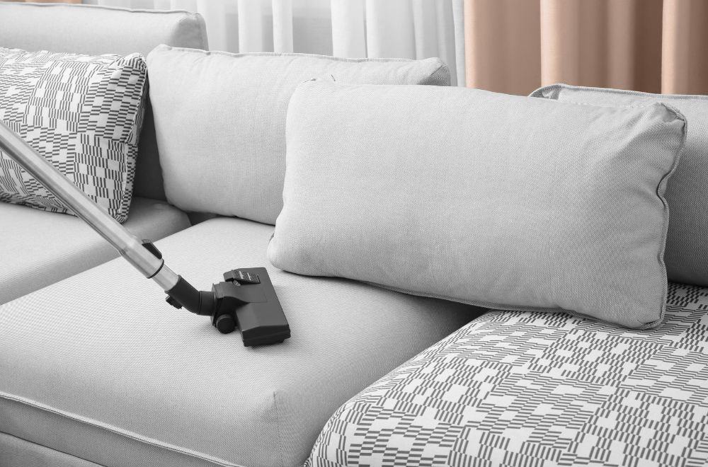 14 Common Bugs on the Couch Furniture (How to Get Rid of Them?)