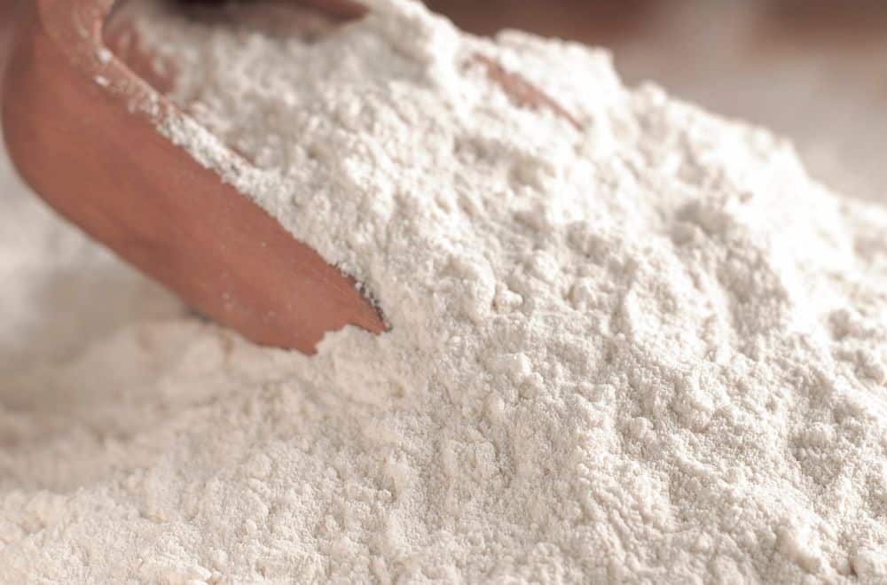 Flour mites