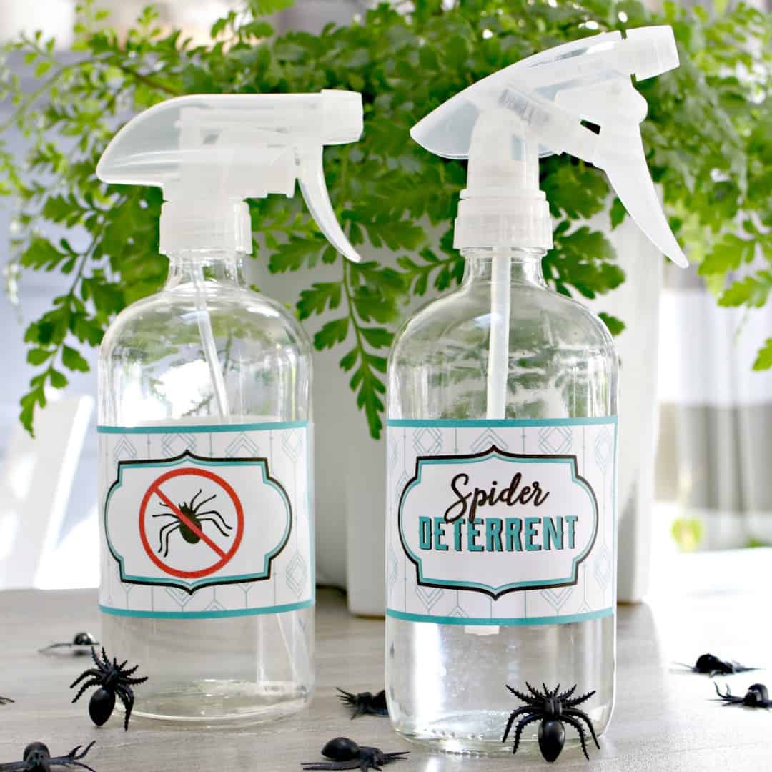 Use spider deterrents
