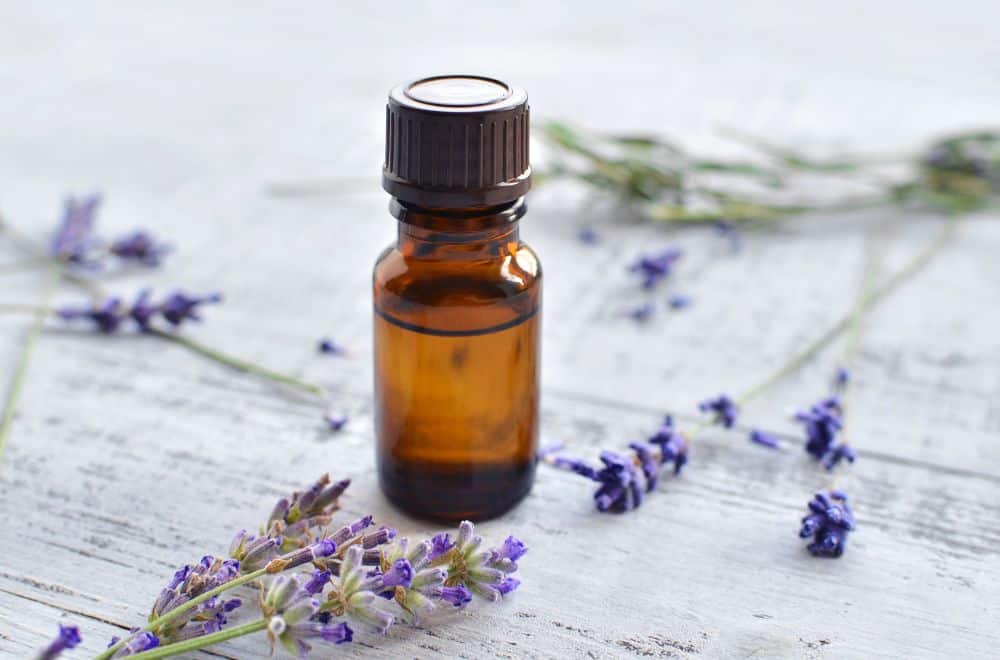 Lavender essential oil 