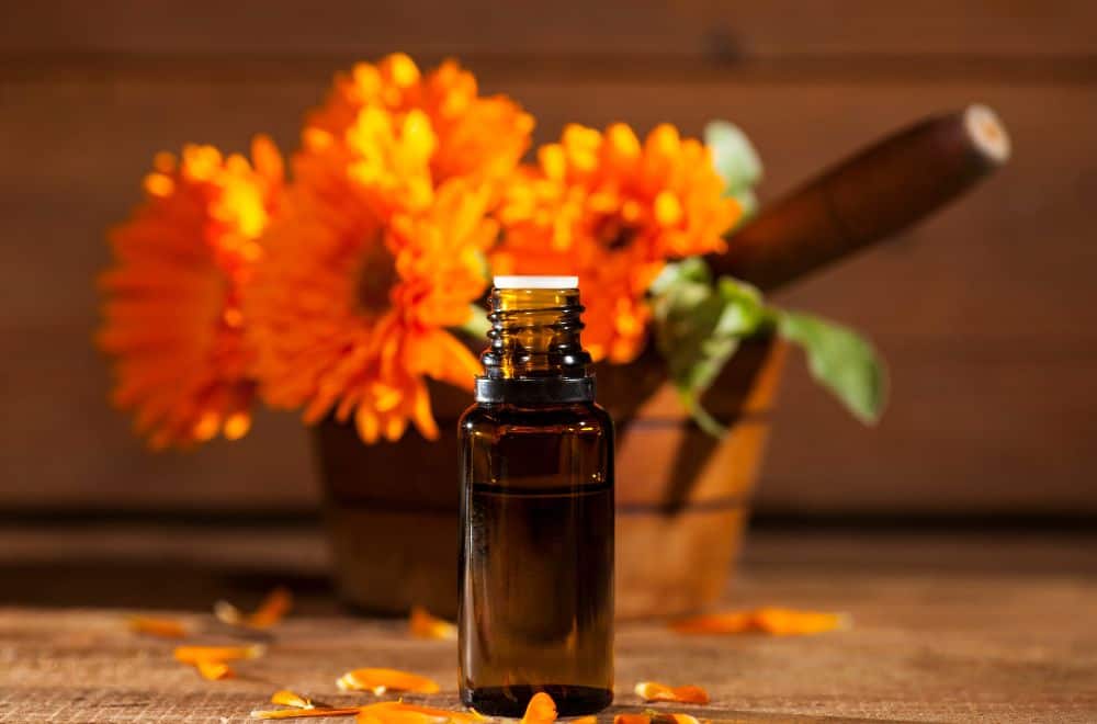 Marigold essential oil