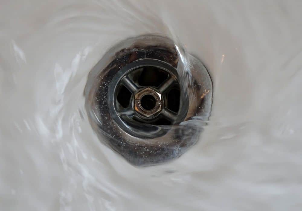Bugs In Drain (How To Get Rid Of Them)